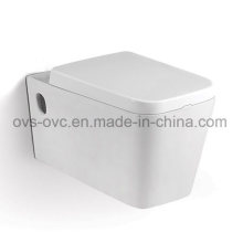 Foshan Sanitary Ware Russia Wc Toilet Bowl